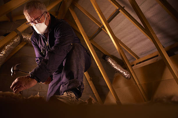 Trusted Lake Grove, NY Insulation Contractor Experts